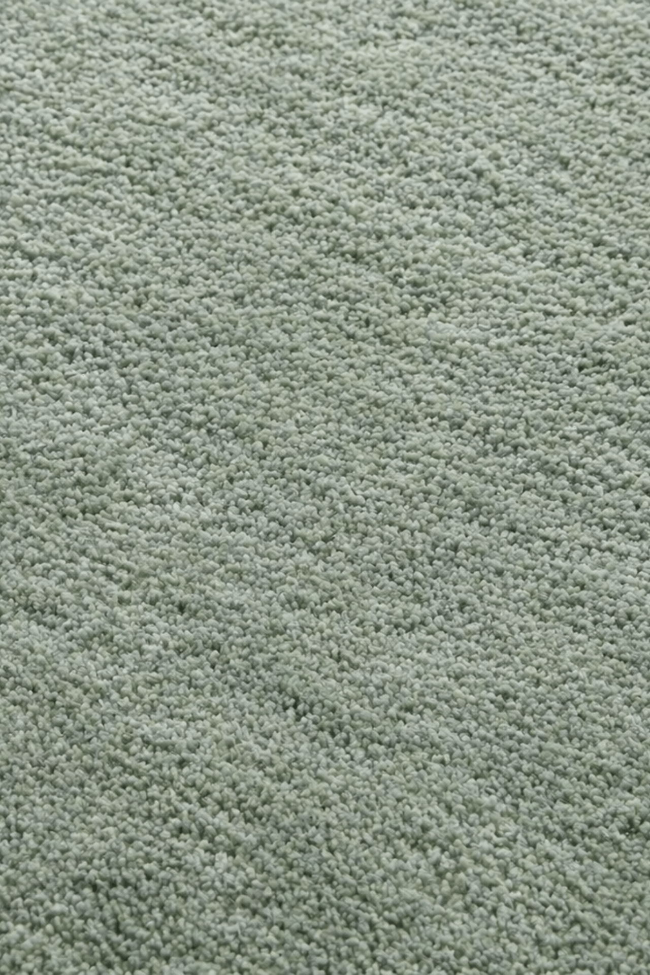 Serene Sage Solid Rug showcasing a plush, textured green surface that offers luxurious comfort and sophistication.