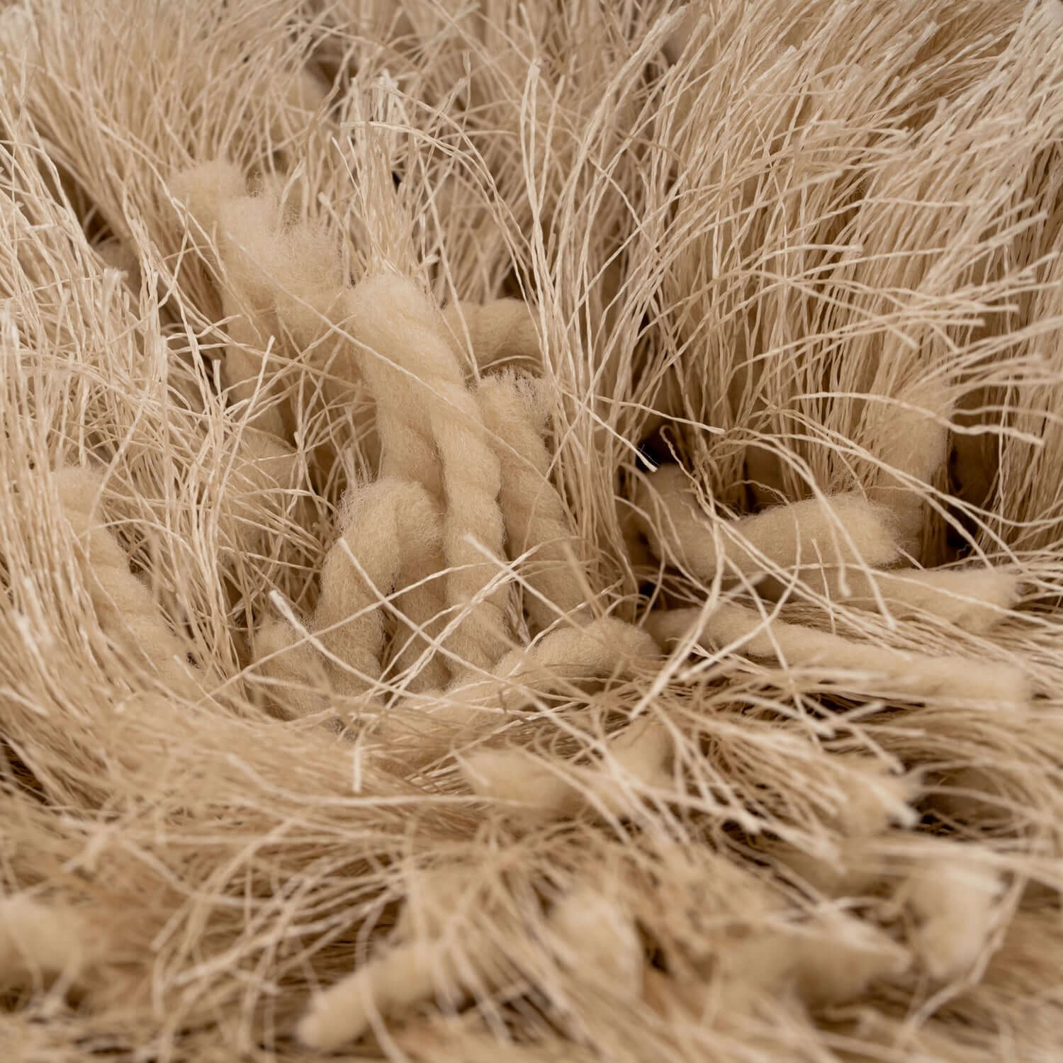 Plush Soft Cream Shaggy Area Rug
