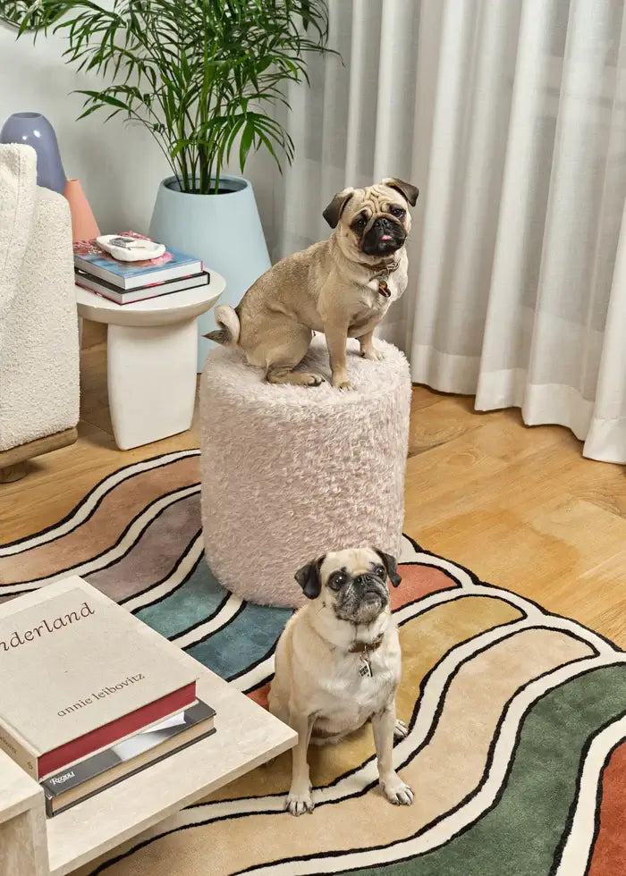 Wavy Rainbow 3-Stripe Rug